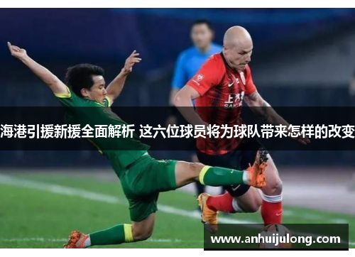 海港引援新援全面解析 这六位球员将为球队带来怎样的改变