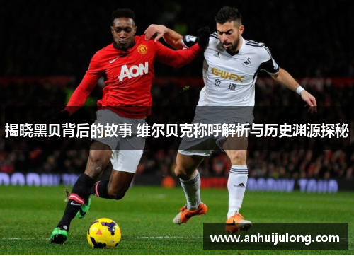 揭晓黑贝背后的故事 维尔贝克称呼解析与历史渊源探秘